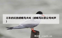 三年的红肋绣眼鸟大叫（绣眼鸟红肋公母叫声）