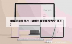 蝴蝶兰盆景图片（蝴蝶兰盆景图片大全 漂亮）