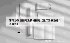 客厅沙发垫图片及价格图片（客厅沙发垫选什么颜色）