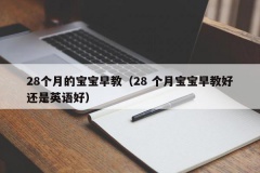 28个月的宝宝早教（28 个月宝宝早教好还是英语好）