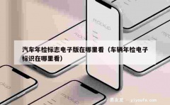 汽车年检标志电子版在哪里看（车辆年检电子标识在哪里看）