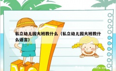 私立幼儿园大班教什么（私立幼儿园大班教什么语言）