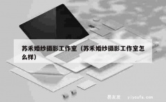 苏禾婚纱摄影工作室（苏禾婚纱摄影工作室怎么样）