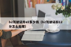 b2驾驶证升a1多少钱（b2驾驶证扣12分怎么处理）