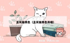 孟买猫黑色（孟买猫黑色异瞳）