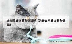 金渐层好还是布偶猫好（为什么不建议养布偶猫）