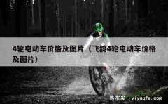 4轮电动车价格及图片（飞鸽4轮电动车价格及图片）