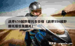 战斧650越野摩托车价格（战斧550越野摩托报价及图片）