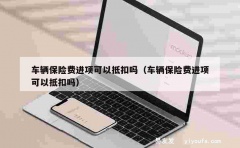 车辆保险费进项可以抵扣吗（车辆保险费进项可以抵扣吗）