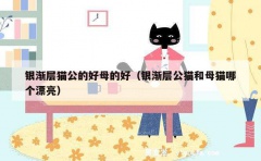 银渐层猫公的好母的好（银渐层公猫和母猫哪个漂亮）