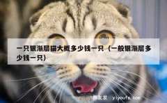 一只银渐层猫大概多少钱一只（一般银渐层多少钱一只）