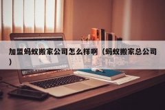 加盟蚂蚁搬家公司怎么样啊（蚂蚁搬家总公司）