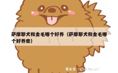 萨摩耶犬和金毛哪个好养（萨摩耶犬和金毛哪个好养些）