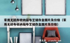 家用无纺布收纳箱布艺储存盒图片及价格（家用无纺布收纳箱布艺储