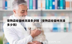 宠物店给猫咪洗澡多少钱（宠物店给猫咪洗澡多少钱）