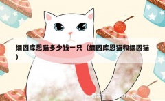 缅因库恩猫多少钱一只（缅因库恩猫和缅因猫）