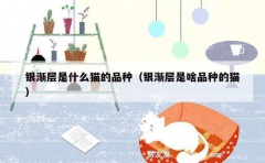 银渐层是什么猫的品种（银渐层是啥品种的猫）