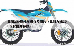 三阳250摩托车报价及图片（三阳九妹250报价图片参数）