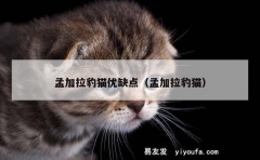 孟加拉豹猫优缺点（孟加拉豹猫）