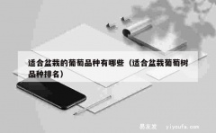 适合盆栽的葡萄品种有哪些（适合盆栽葡萄树品种排名）