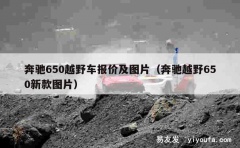 奔驰650越野车报价及图片（奔驰越野650新款图片）