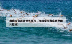 海绵宝宝海底世界图片（海绵宝宝海底世界图片壁纸）