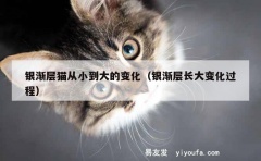 银渐层猫从小到大的变化（银渐层长大变化过程）