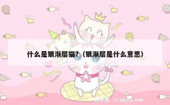 什么是银渐层猫?（银渐层是什么意思）