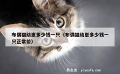 布偶猫幼崽多少钱一只（布偶猫幼崽多少钱一只正常价）