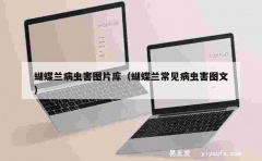 蝴蝶兰病虫害图片库（蝴蝶兰常见病虫害图文）