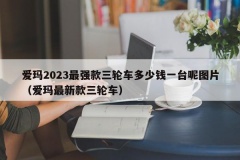 爱玛2023最强款三轮车多少钱一台呢图片（爱玛最新款三轮车）