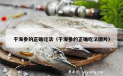 干海参的正确吃法（干海参的正确吃法图片）