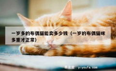 一岁多的布偶猫能卖多少钱（一岁的布偶猫咪多重才正常）