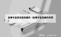 金弹子盆景价格及图片（金弹子盆景图片欣赏）