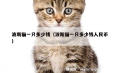 波斯猫一只多少钱（波斯猫一只多少钱人民币）