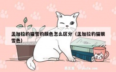 孟加拉豹猫雪豹颜色怎么区分（孟加拉豹猫银雪色）