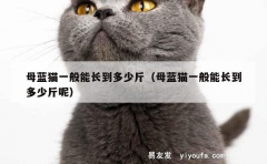 母蓝猫一般能长到多少斤（母蓝猫一般能长到多少斤呢）