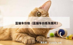 蓝猫车价格（蓝猫车价格及图片）