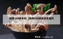 烧烤100种食材（烧烤100种食材名图片）