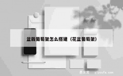 盆栽葡萄架怎么搭建（花盆葡萄架）