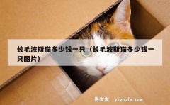 长毛波斯猫多少钱一只（长毛波斯猫多少钱一只图片）