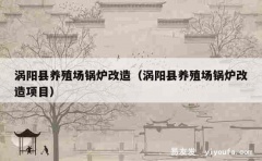 涡阳县养殖场锅炉改造（涡阳县养殖场锅炉改造项目）