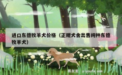 进口东德牧羊犬价格（正规犬舍出售纯种东德牧羊犬）