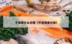 干海参什么价格（干货海参价格）