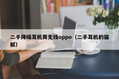 二手降噪耳机真无线oppo（二手耳机的猫腻）