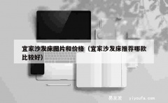 宜家沙发床图片和价格（宜家沙发床推荐哪款比较好）