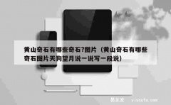 黄山奇石有哪些奇石?图片（黄山奇石有哪些奇石图片天狗望月说一