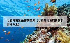 七彩神仙鱼品种及图片（七彩神仙鱼的价格和图片大全）