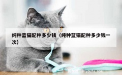 纯种蓝猫配种多少钱（纯种蓝猫配种多少钱一次）