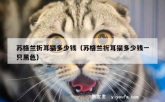 苏格兰折耳猫多少钱（苏格兰折耳猫多少钱一只黑色）